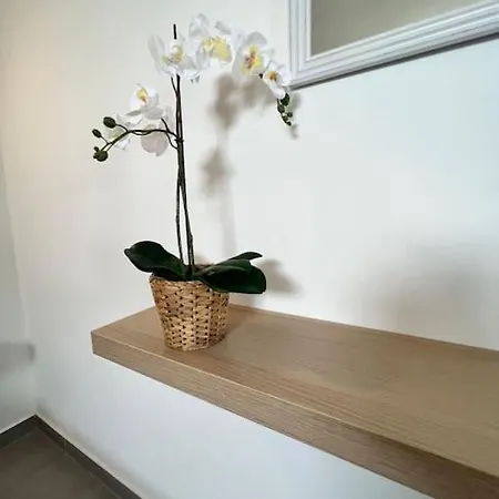 El Cercado Apartment Tinajo