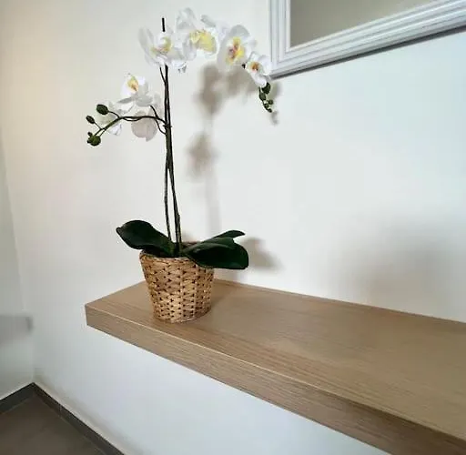 El Cercado Appartement Tinajo